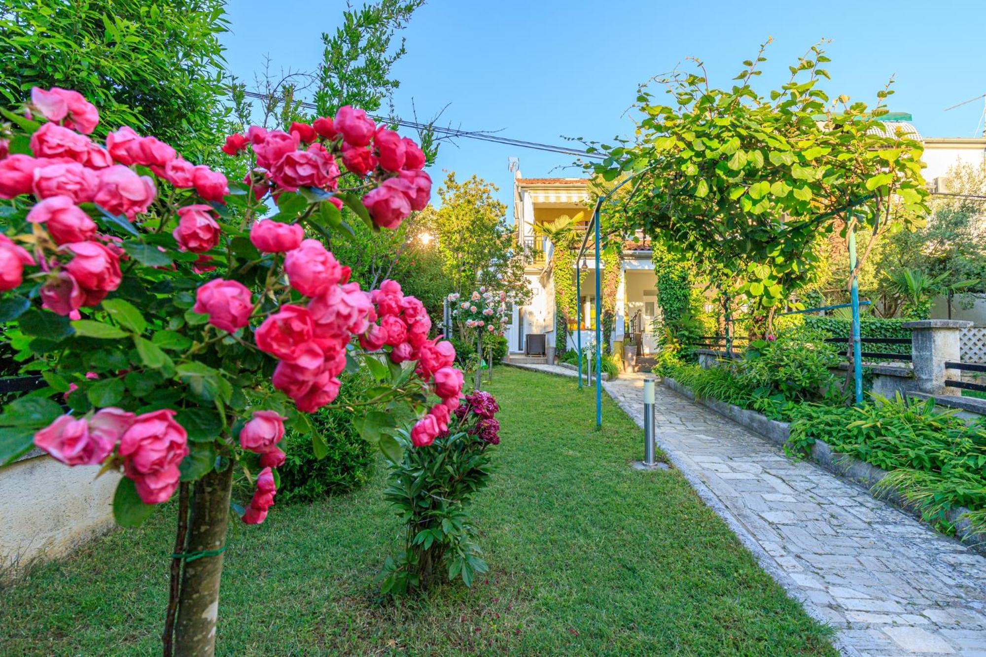 Aparments Jedro&Karlo Διαμέρισμα Πόρετς Εξωτερικό φωτογραφία